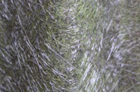 Cefn Glas fibreglass roof work